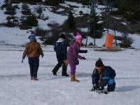 Click for larger image.